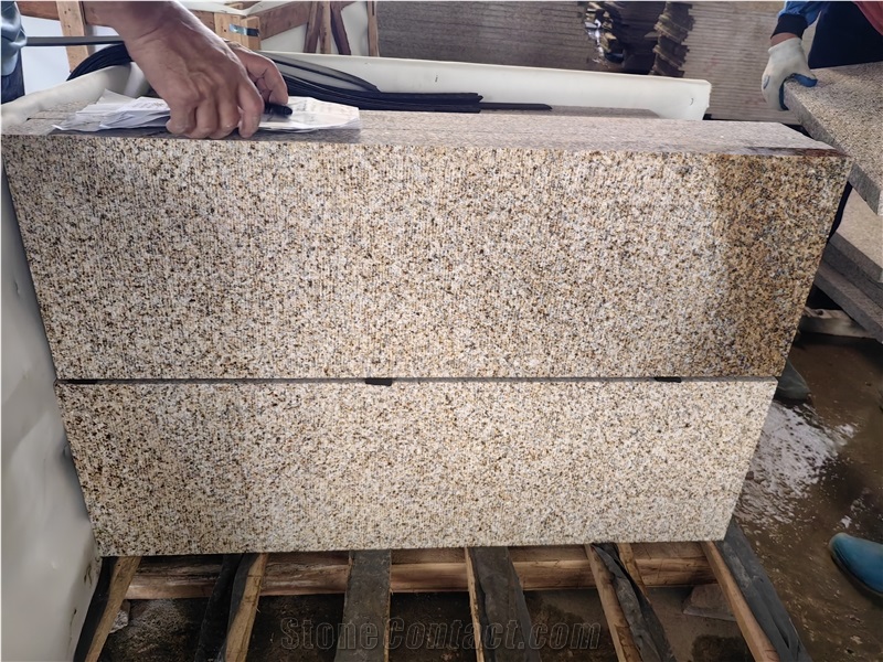 New Puma Granite Tiles G682 Longan Finished Beige Color