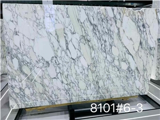 Good Quality Arabescato Marble Slabs