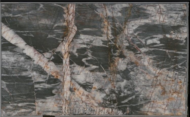 Grey Bayou Quartzite Slabs Wall Tiles