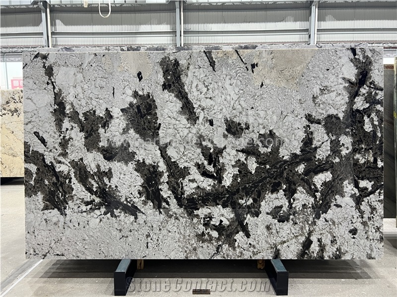 Silver Fox Granite Slabs
