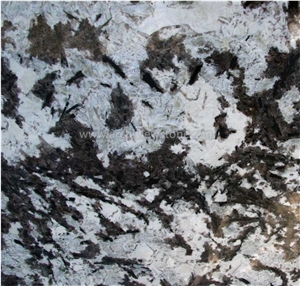 Silver Fox Granite Slabs