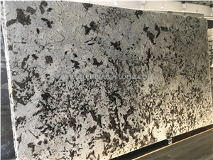 Silver Fox Granite Slabs