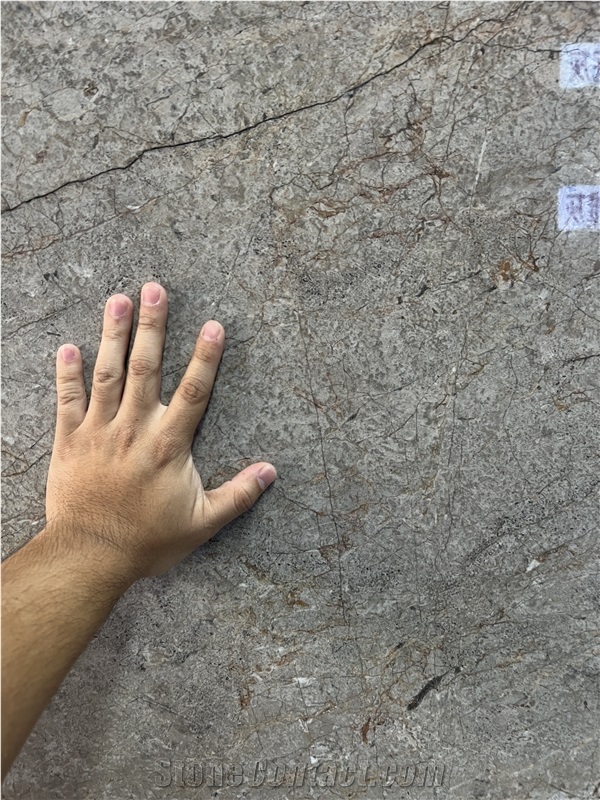 Silver Roots Marble Slabs For Bathroom Wall Tiles