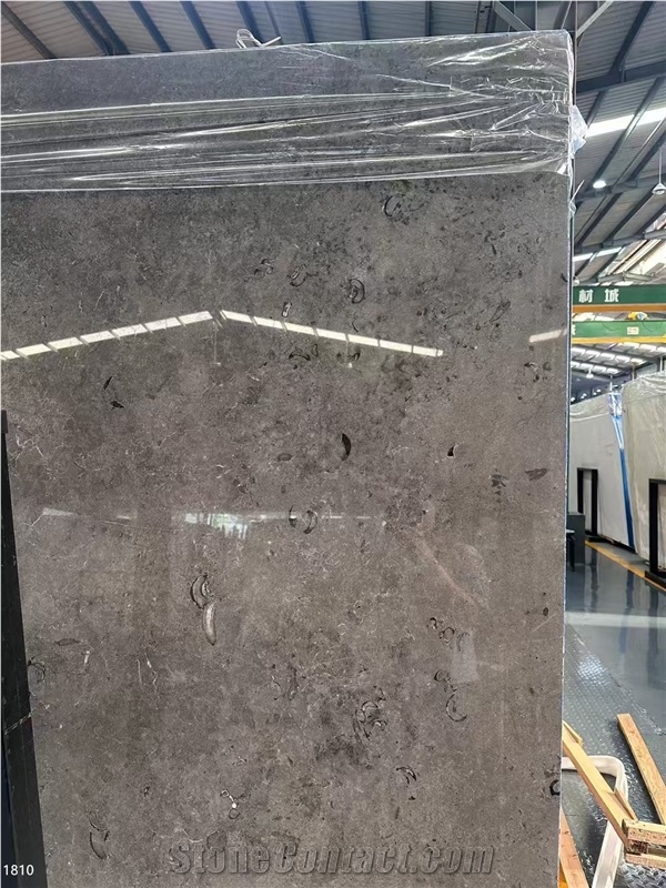 Kilkenny Black Fossil Limestone Slabs Grey Blue Shell