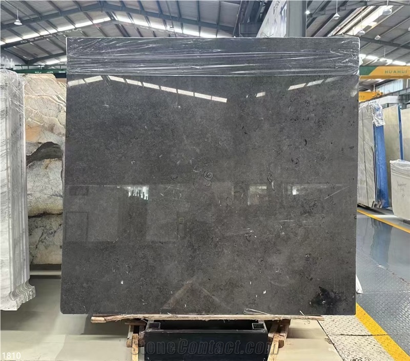 Kilkenny Black Fossil Limestone Slabs Grey Blue Shell