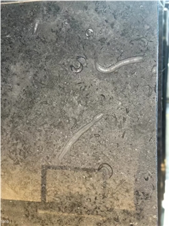 Kilkenny Black Fossil Limestone Slabs Grey Blue Shell