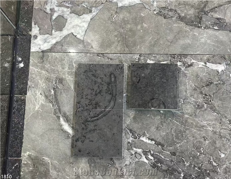 Kilkenny Black Fossil Limestone Slabs Grey Blue Shell
