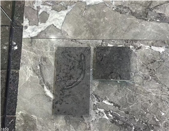 Kilkenny Black Fossil Limestone Slabs Grey Blue Shell