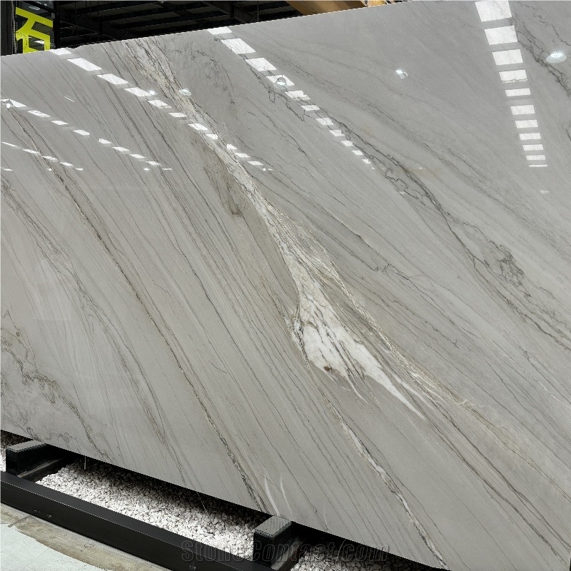 White Platino Quartzite Slabs, Wall Floor Tile