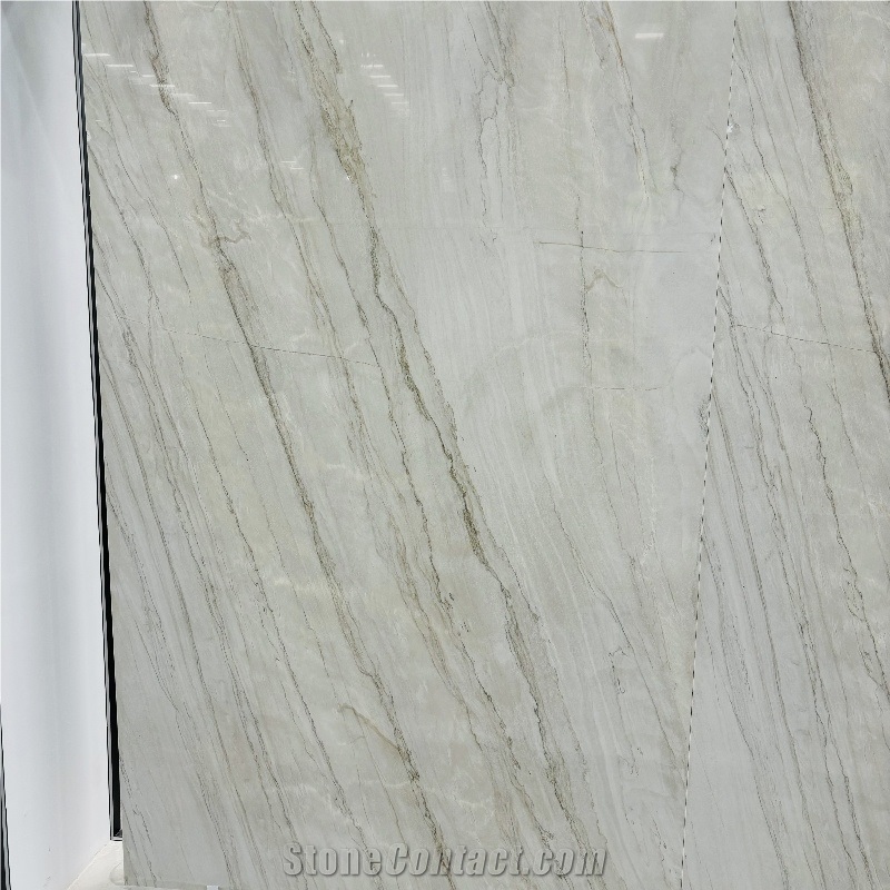White Platino Quartzite Slabs, Wall Floor Tile
