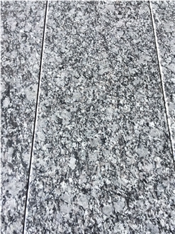 Sea Wave Granite Tiles