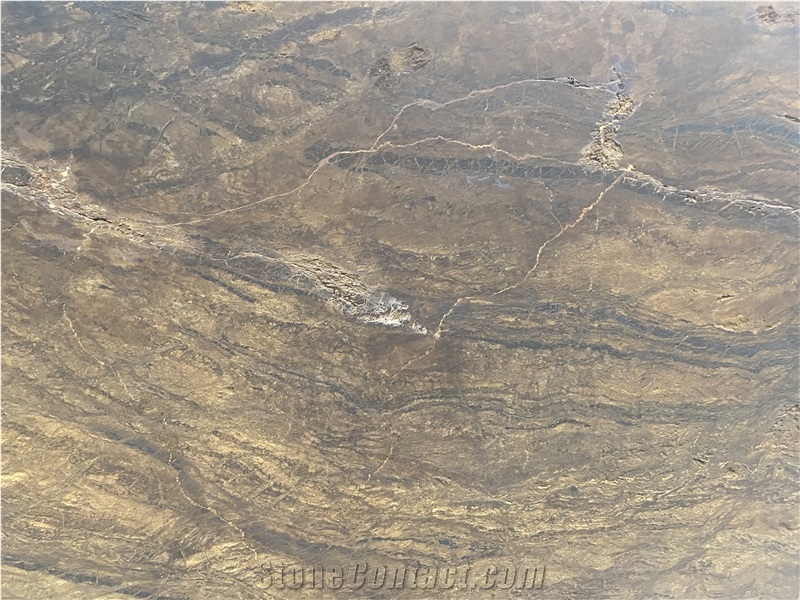 Exuberant Brown Quartzite Leather Surface Slabs