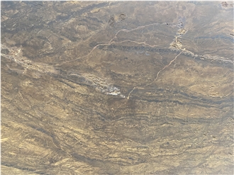 Exuberant Brown Quartzite Leather Surface Slabs
