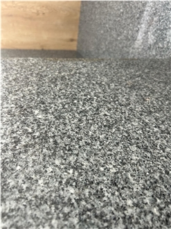 Grey Alsherka Granite Slabs And Tiles