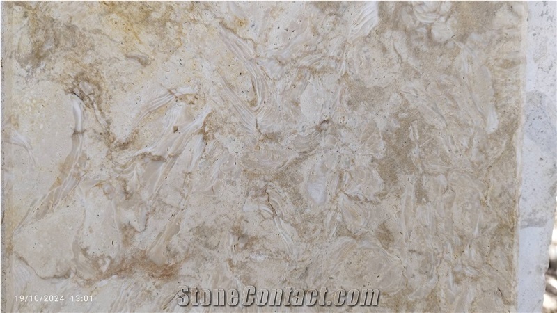 Shells Reef Beige Limestone Tiles