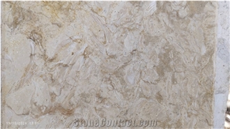 Shells Reef Beige Limestone Tiles