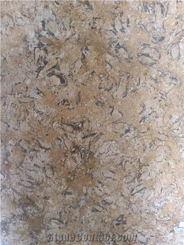 Shells Reef Beige Limestone Tiles