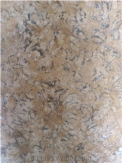 Shells Reef Beige Limestone Tiles