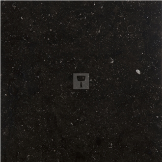 Pierre De Soignies Polished Tiles