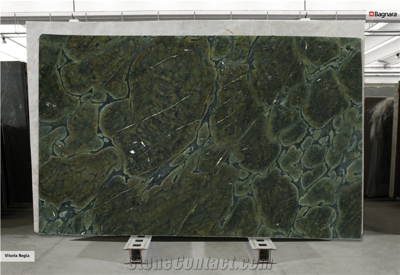 Vitoria Regia Quartzite Slabs