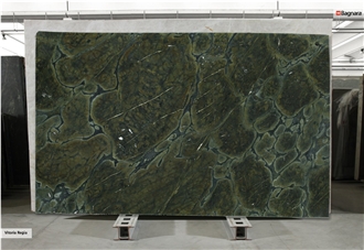 Vitoria Regia Quartzite Slabs