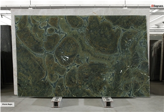 Vitoria Regia Quartzite Slabs