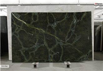 Vitoria Regia Quartzite Slabs