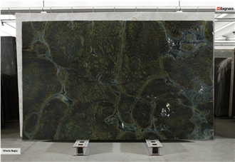 Vitoria Regia Quartzite Slabs