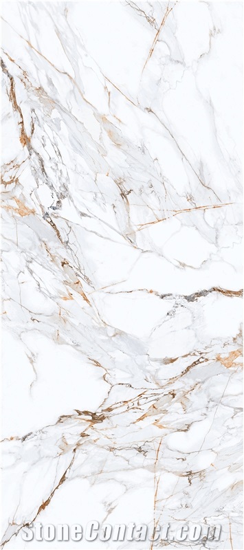 Gilded Years Sintered Stone Slabs