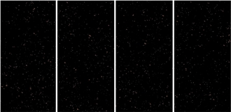 PALISSANDRO BLACK Sintered Stone Slabs 1200*600Mm