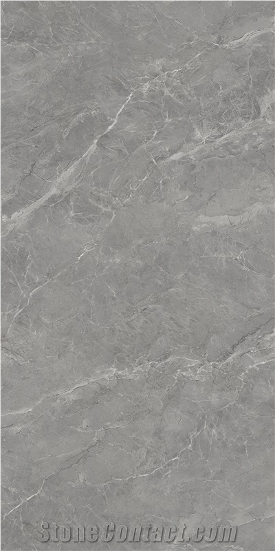 Silver Dragon Grey Sintered Stone Tiles