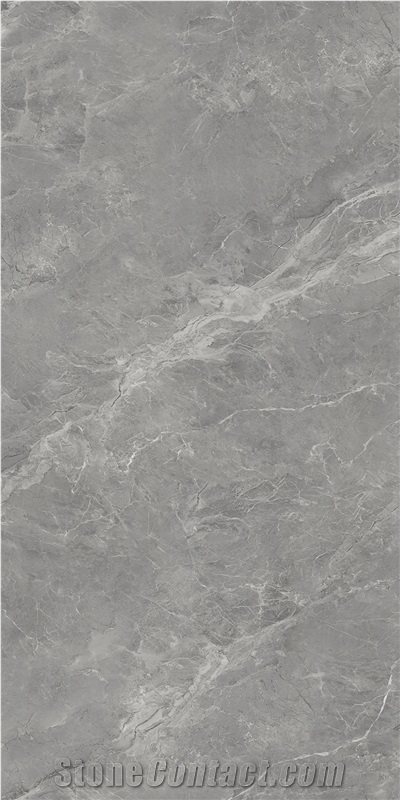 Silver Dragon Grey Sintered Stone Tiles