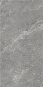 Silver Dragon Grey Sintered Stone Tiles