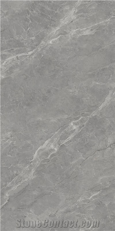 Silver Dragon Grey Sintered Stone Tiles