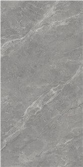 Silver Dragon Grey Sintered Stone Tiles