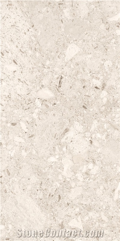 WHITE MUSHROOM Sintered Stone Slabs 1200*600Mm