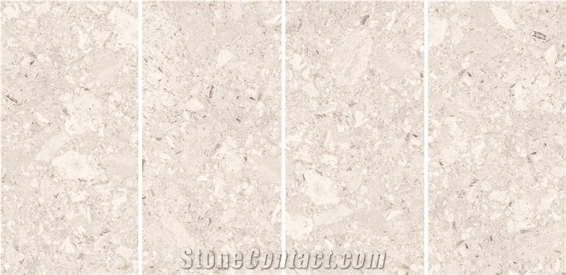 WHITE MUSHROOM Sintered Stone Slabs 1200*600Mm