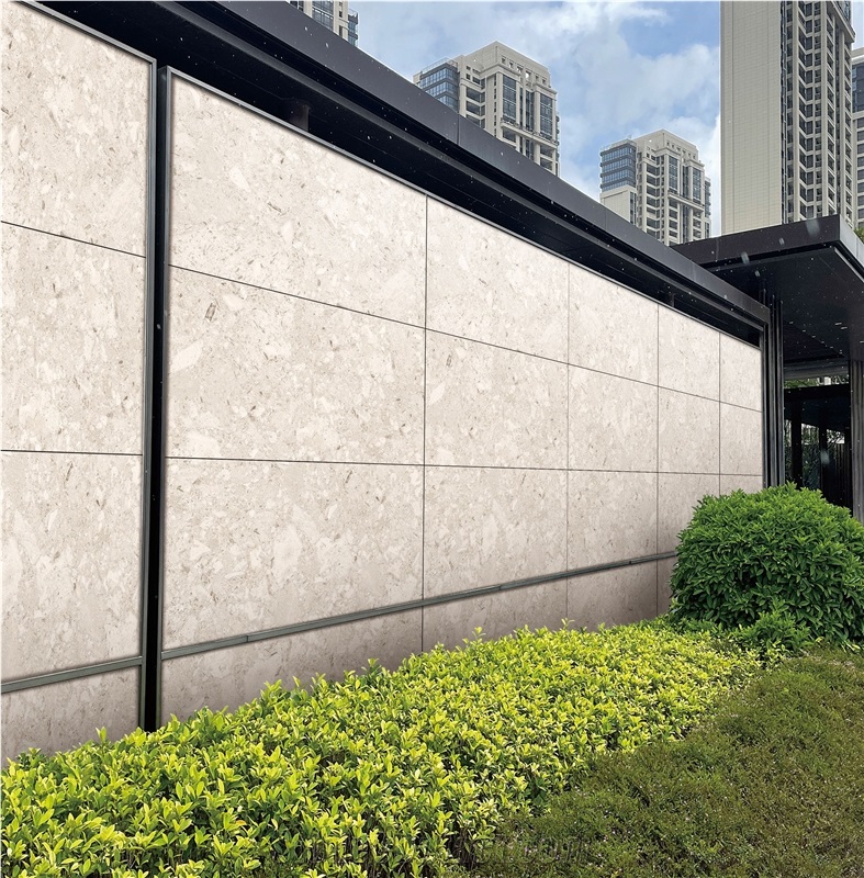 WHITE MUSHROOM Sintered Stone Slabs 1200*600Mm