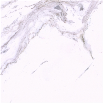 Bianco V Marble