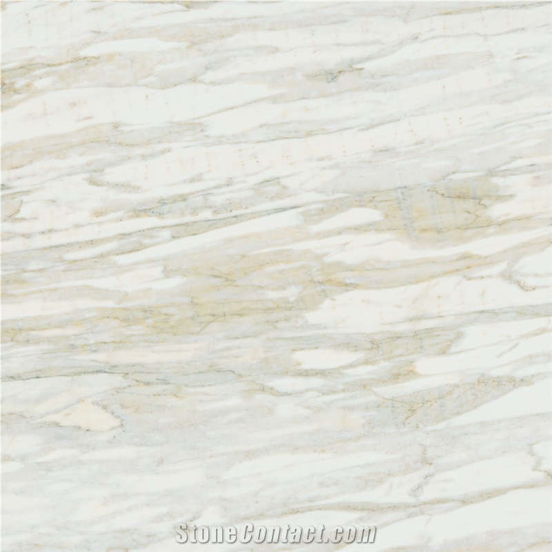 Calacatta Marina Marble Tile