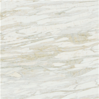 Calacatta Marina Marble Tile