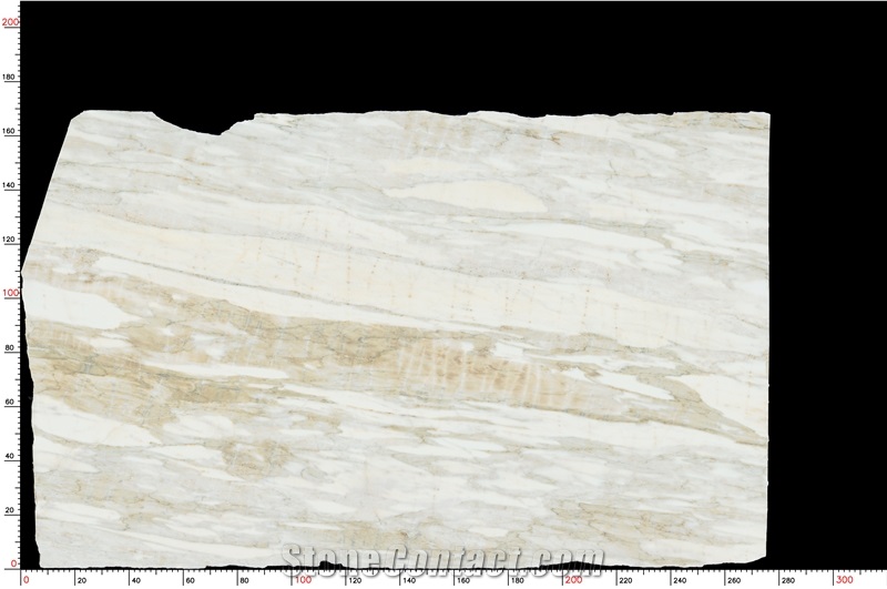 Calacatta Marina Marble Slab
