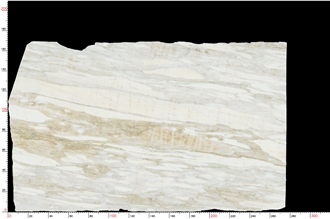 Calacatta Marina Marble Slab