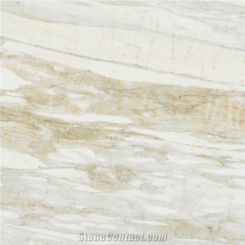 Calacatta Marina Marble Tile