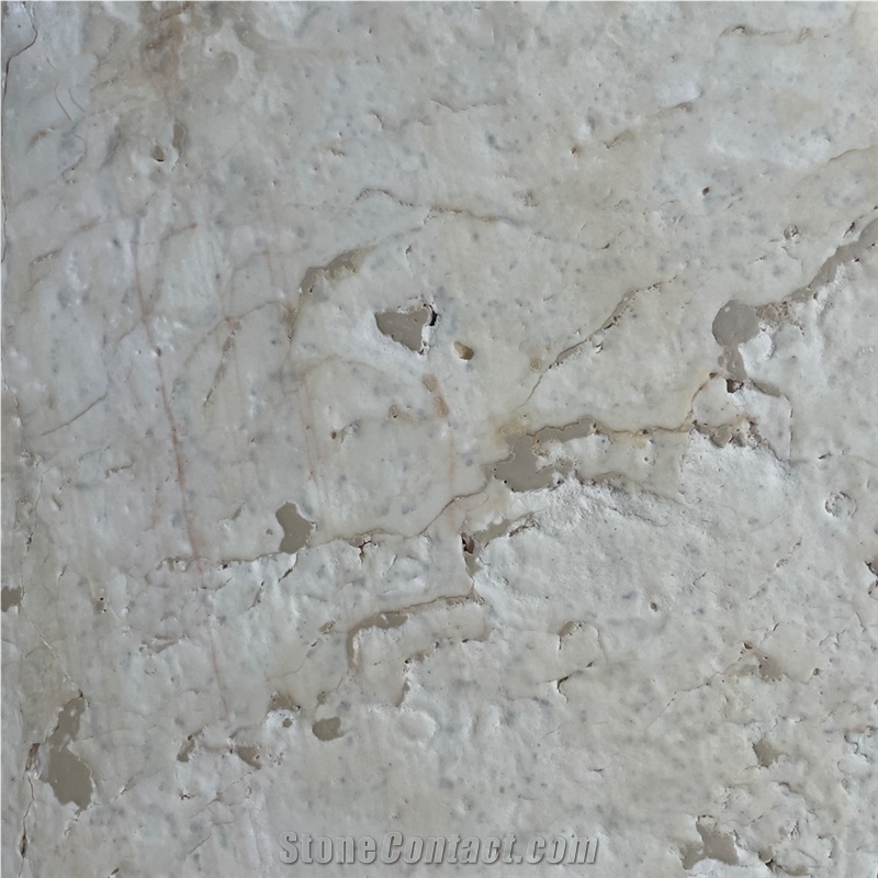 Caribbean Blond Coral Stone importance=