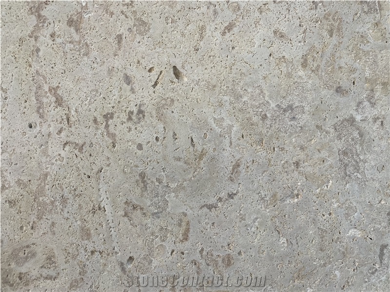 Classic Coral Stone Slab