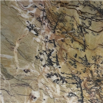 Golden Fusion Quartzite