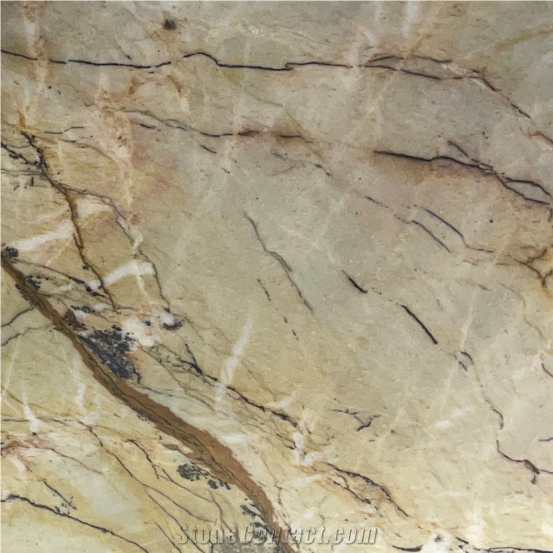 Golden Fusion Quartzite Tile