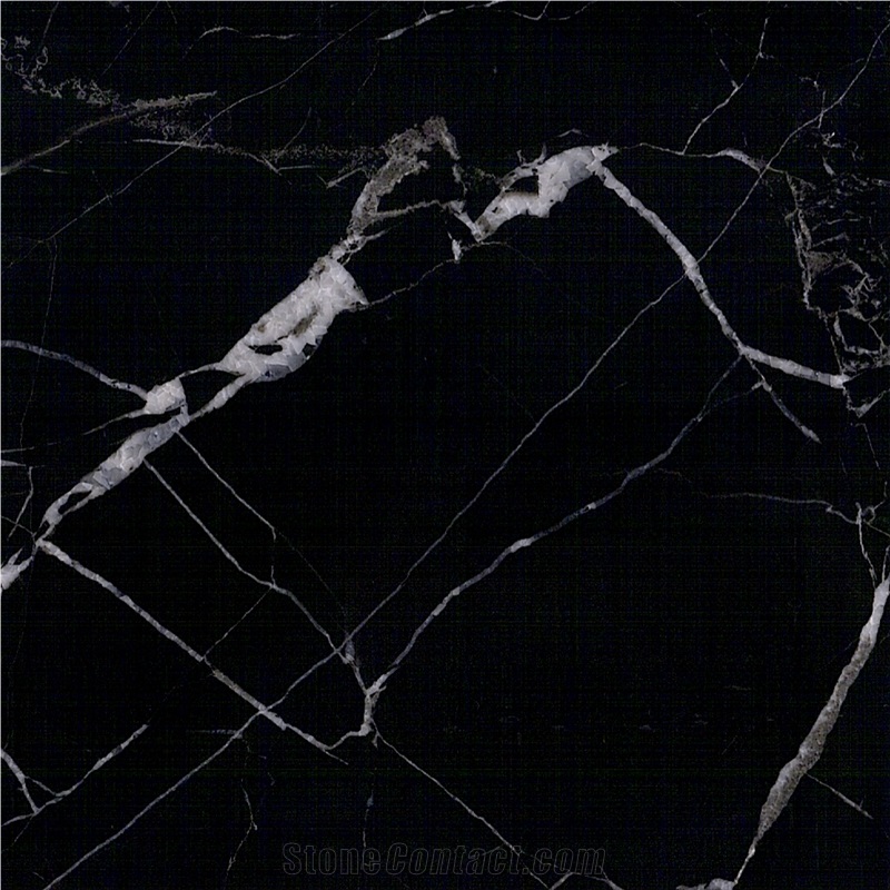 Nero di Ormea Marble Tile