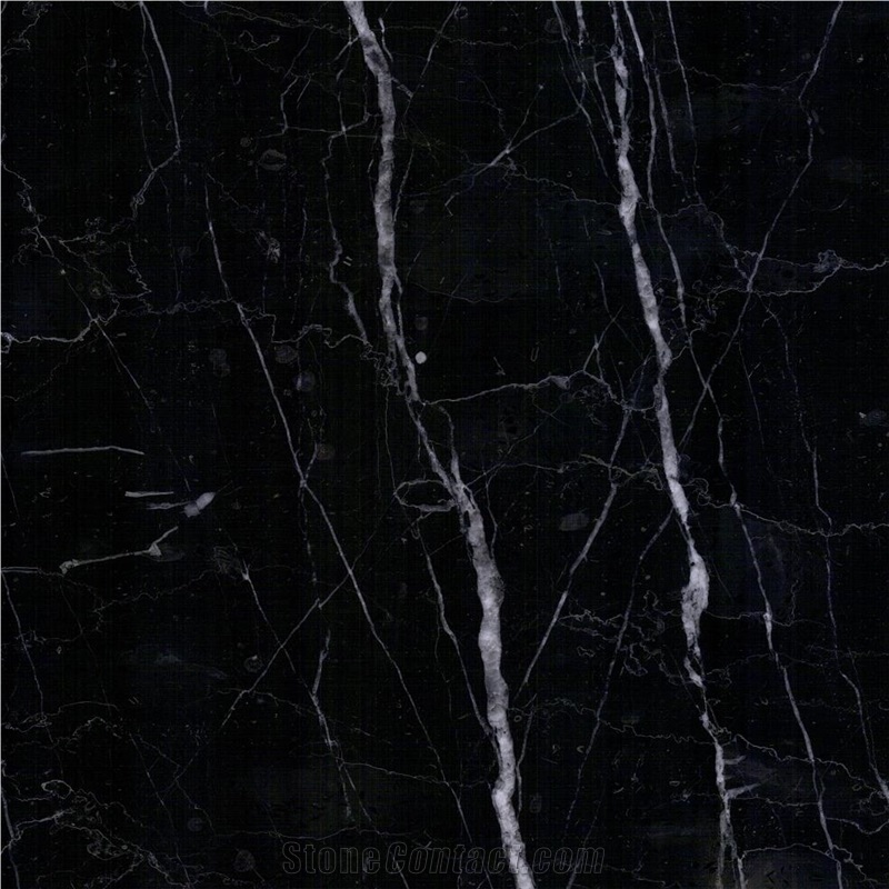 Nero Marquina Marble importance=